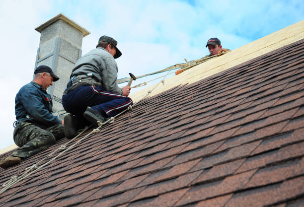 Roof Gutter Cleaning in Springhill, LA